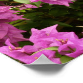Poster Bougainvillées tropicales violettes (Coin)