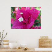 Poster Bougainvilliers en fleurs (Cuisine)