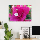 Poster Bougainvilliers en fleurs (Bureau à domicile)