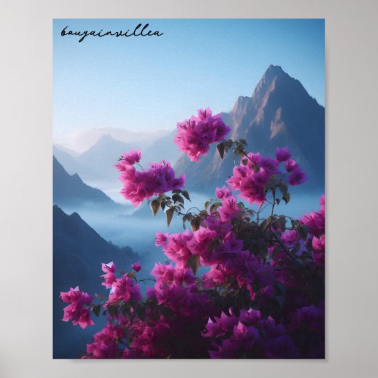 Poster bougainvilliers nature bleu ciel (Devant)