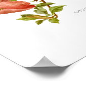 Poster Bouganvillea spectablis (Coin)