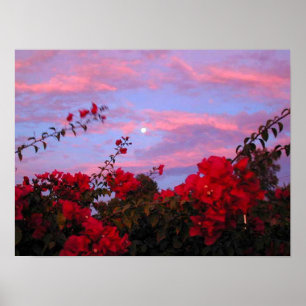Poster Bouganvillées et Pleine lune au coucher du soleil