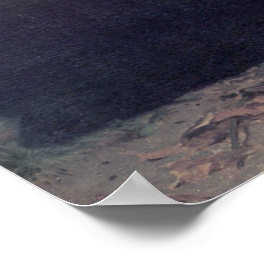 Poster Bouguereau - Le Jour des Morts (Coin)