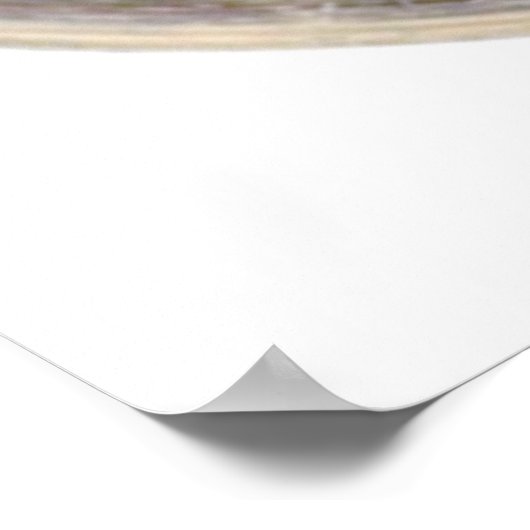 Poster Bouguereau - Putti Sur un Griffon (Coin)