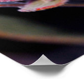 Poster Boule de fleurs (Coin)