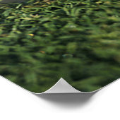 Poster Boule de golf au bord du trou (Coin)