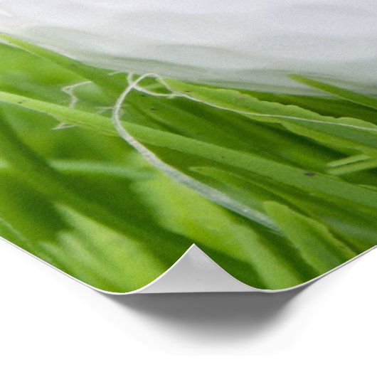 Poster Boule De Golf En Herbe (Coin)