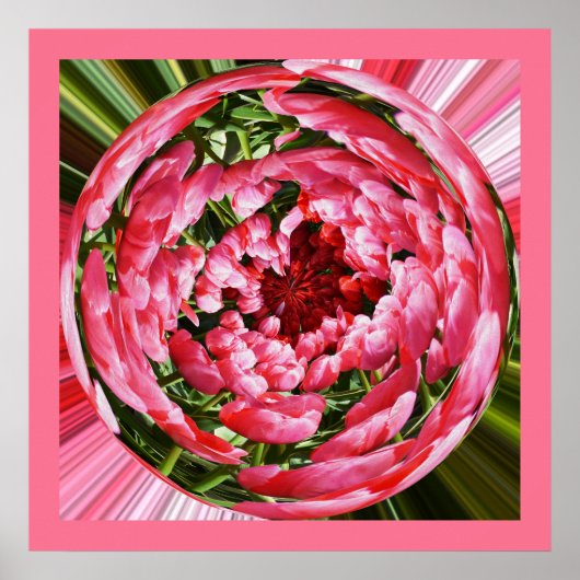 Poster Boule de tulipes art floral (Devant)