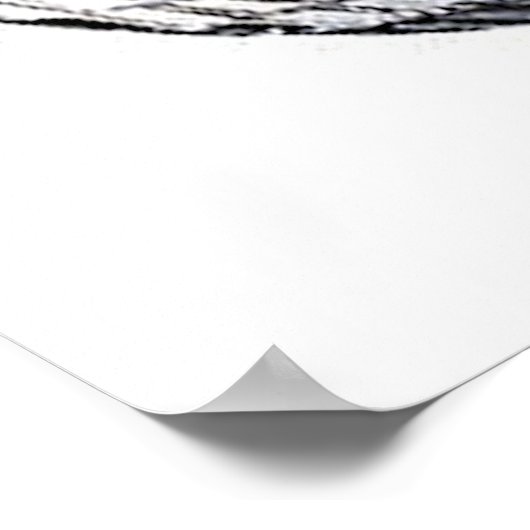 Poster Boule Disco Argent (Coin)