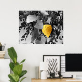 Poster Bouleau d'or - Photographies d'art (Bureau à domicile)