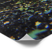 Poster Bouleaux blancs (Coin)