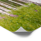 Poster bouleaux dans les forêts finlandaises (Coin)