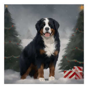 Poster Bouledogue de montagne bernois dans la neige de No