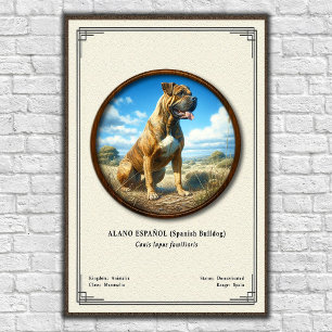 Poster Bouledogue Espagnol (Alano Español) Série de Zoolo