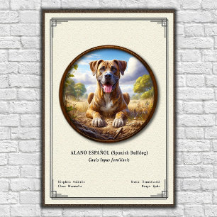 Poster Bouledogue Espagnol (Alano Español) Série de Zoolo