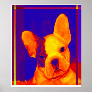 Poster bouledogue français