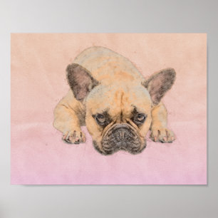 Poster Bouledogue français - chien de Frenchie
