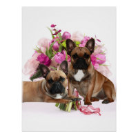 Bouledogue français Fleurs Bouledogue français Fêt
