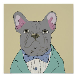 Poster Bouledogue français gris