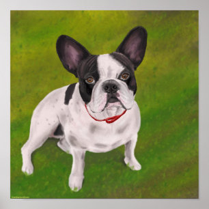 Poster Bouledogue français noir et blanc sur l'herbe -