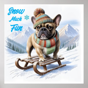Poster Bouledogue français traîneau French Bulldog