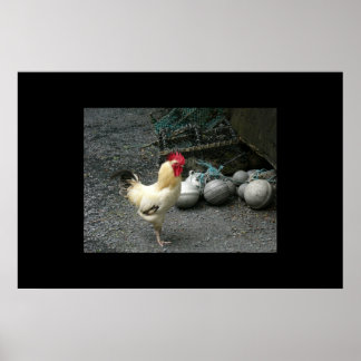 Poster Boules de coq et de canon