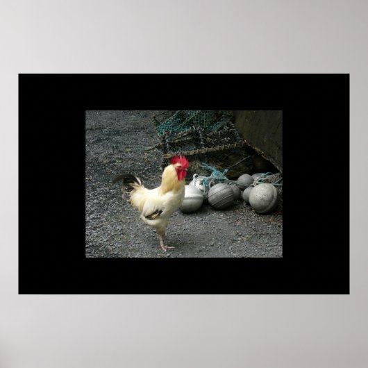 Poster Boules de coq et de canon (Devant)