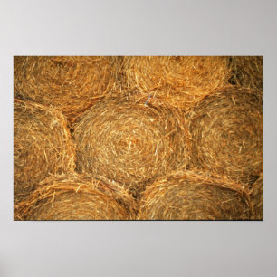 Poster Boules de foin