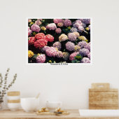 Poster Boules de neige en rose et violet par TDGallery (Cuisine)
