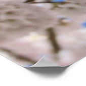 Poster Boules en fleurs roses (Coin)