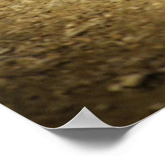 Poster Boules françaises (Coin)