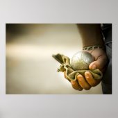 Poster Boules françaises (Devant)
