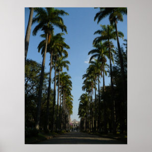 Poster Boulevard de palmier