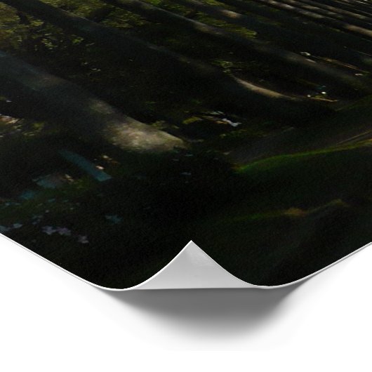 Poster Boulevard Palm Tree (Coin)