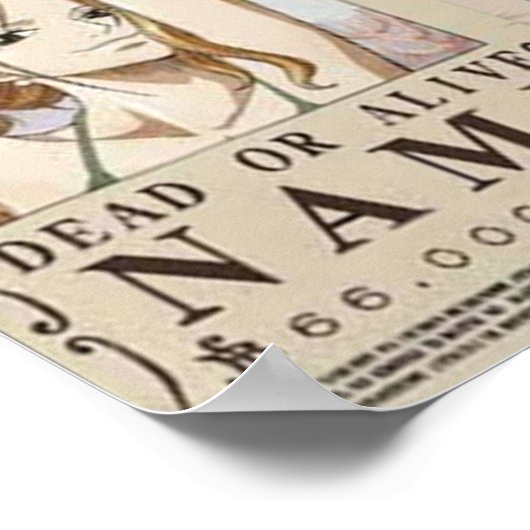 Poster Bounty mugiwara (Coin)