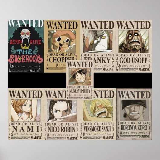 Poster Bounty mugiwara (Devant)