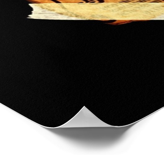 Poster Bounty One Piece Gol D Roger (Coin)