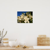 Poster Bouquests Et Ciels Bleus (Cuisine)