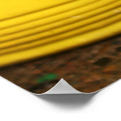 Poster Bouquet (Coin)