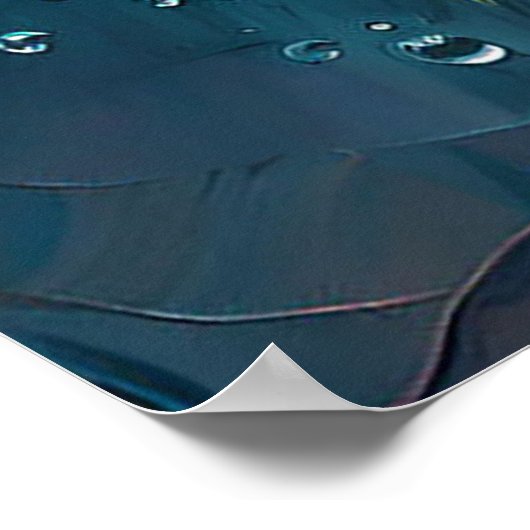 Poster Bouquet animé de rose (Coin)