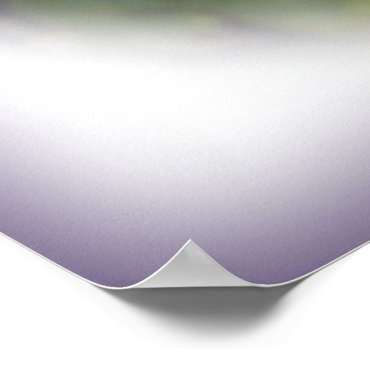 Poster bouquet bleu (Coin)