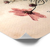 Poster Bouquet Cosmos vintage (Coin)