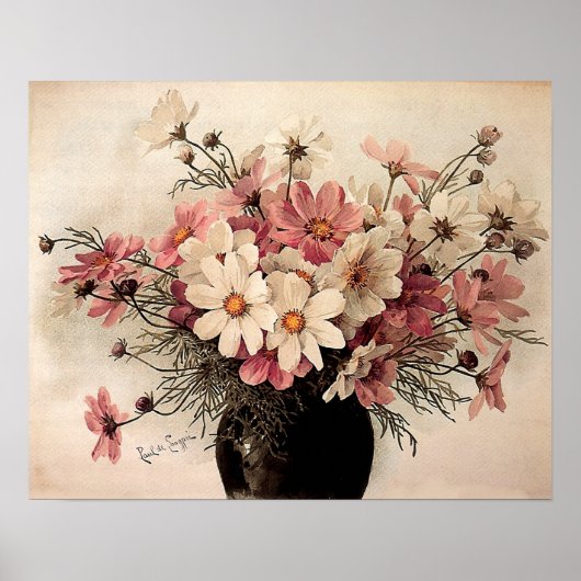 Poster Bouquet Cosmos vintage (Devant)