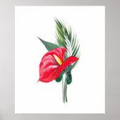 Poster Bouquet d'anthurium rouge (Devant)