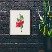 Poster Bouquet d'anthurium rouge
