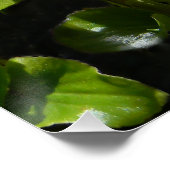 Poster Bouquet de Begonias... (Coin)