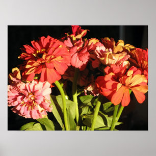 Poster Bouquet de Brooklyn