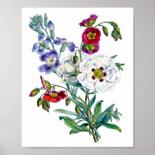 Poster Bouquet de fleurs aquarelle vintage