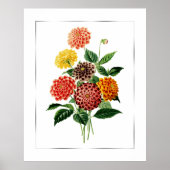 Poster Bouquet de fleurs botaniques (Devant)