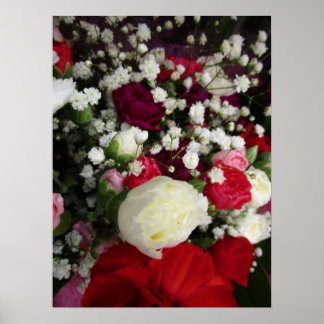 Poster Bouquet de fleurs Carnation et Bébé